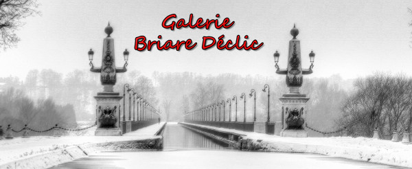 Galerie d'exposition de Briare Déclic 