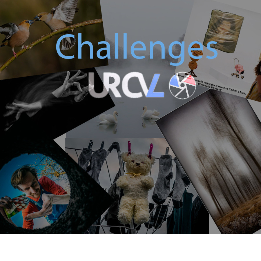 Challenges URCVL 2024-2025