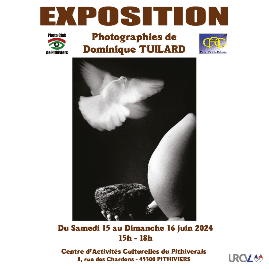 Exposition Dominique Tuilard