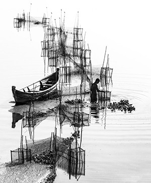 Défi 4_Contre-jour en monochrome