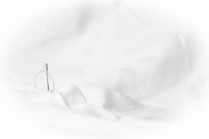 UR07-Défi 1 Minimalisme en monochrome